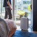 Alen Air Purifiers Alen BreatheSmart 35i HEPA Air Purifier
