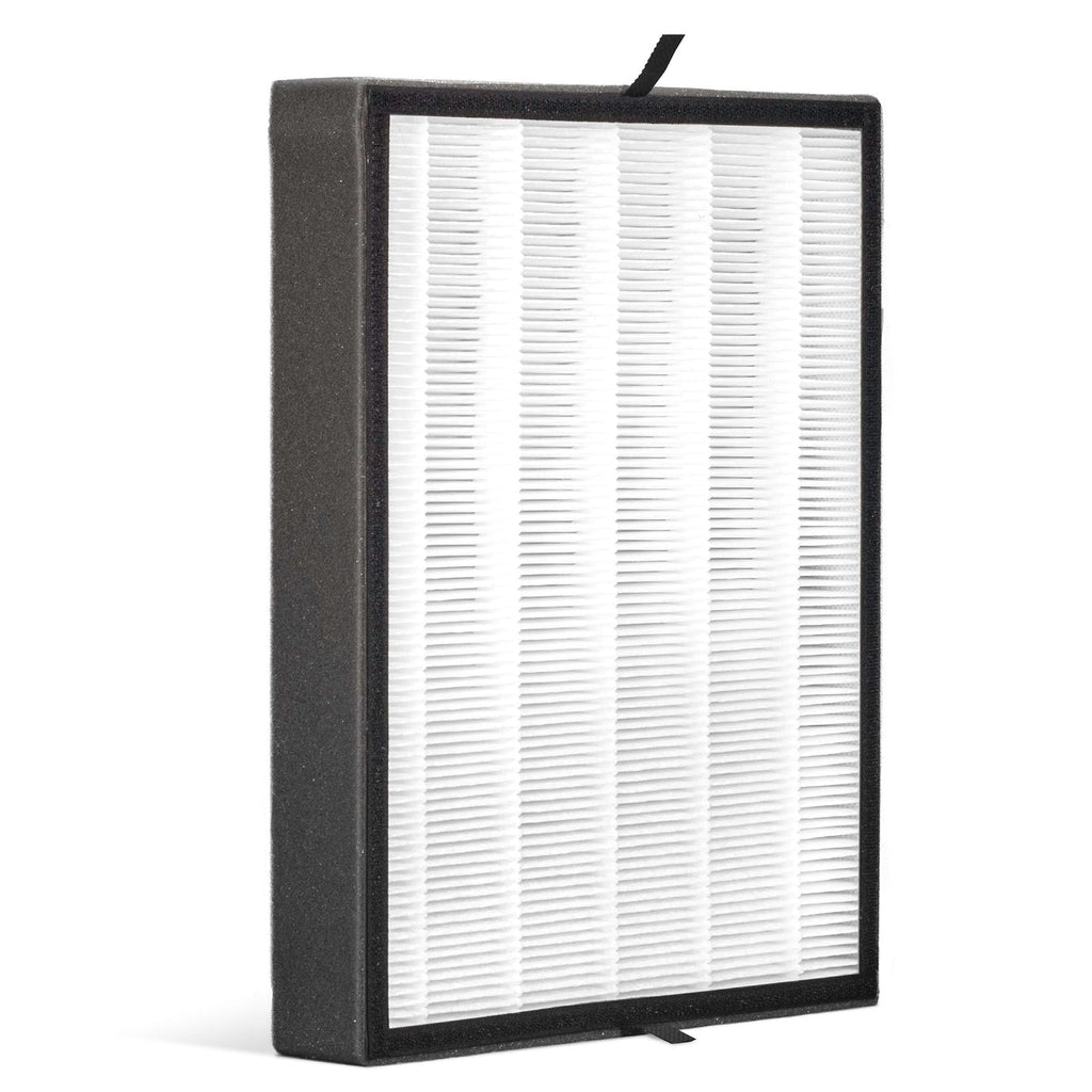 Alen BreatheSmart FLEX True HEPA-OdorCell Filter: B4-Odor / FL40-MP