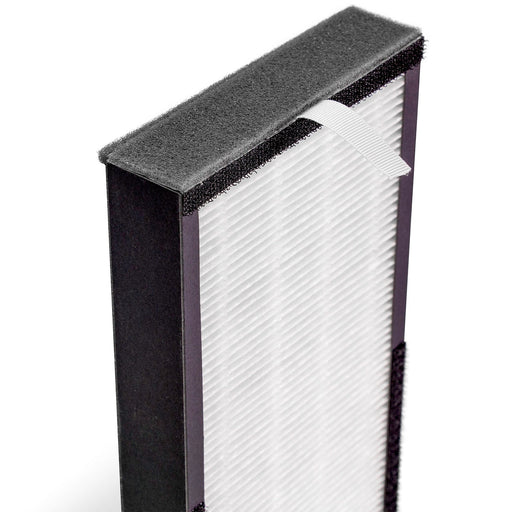 Alen T500 True HEPA-Fresh Replacement Filter: TF60-Carbon
